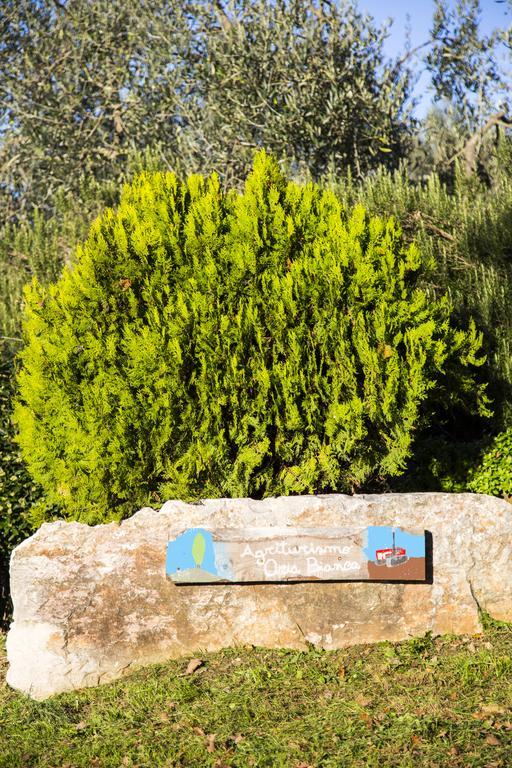 Agriturismo Oria Bianca Villa San Quirico dʼOrcia Exterior foto